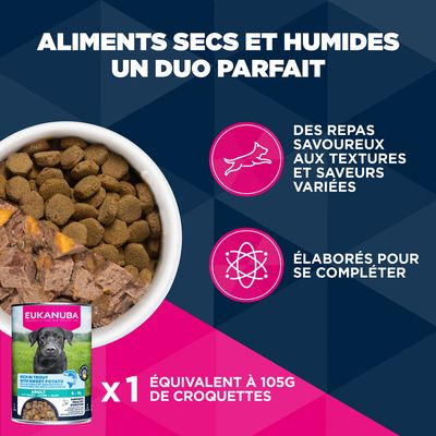 Eukanuba Premium Nutrition Adult Large et Giant Breed Saumon