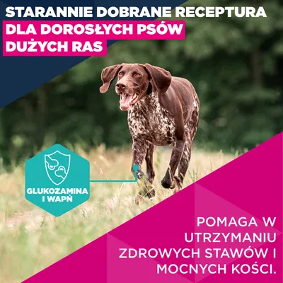 Eukanuba Premium Nutrition Adult Large & Giant Breed, łosoś - 12 kg