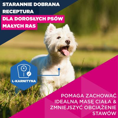 Eukanuba Premium Nutrition Mature Small Breed, kurczak - 2 x 3 kg