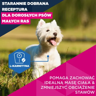 Eukanuba Premium Nutrition Mature Small Breed, kurczak - 7,5 kg