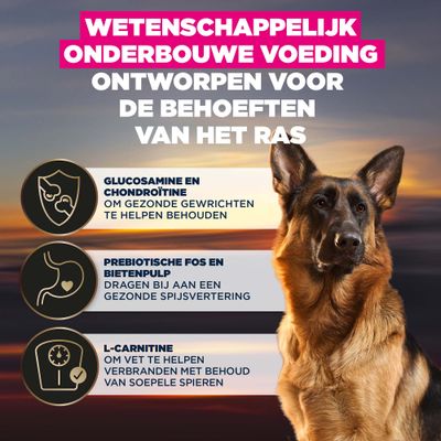 Glucosamine en chondroïtine voor gezonde gewrichten, prebiotische FOS en bietenpulp voor de spijsvertering, L-carnitine voor vetverbranding en het behoud van de spieren. Wetenschappelijk onderbouwde voeding.