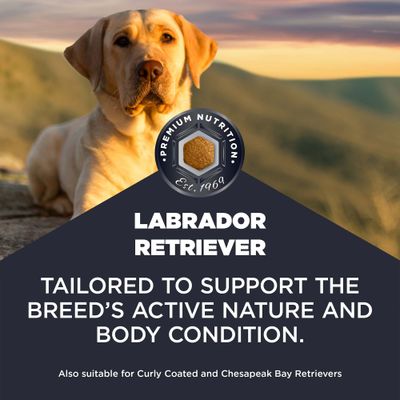 Eukanuba Adult Breed Care Specific Labrador Retriever