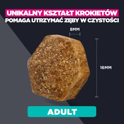 Krokiet o unikalnym kształcie, wymiary: 8 mm x 16 mm. Tekst: Pomaga utrzymać czystość zębów. Odpowiedni dla dorosłych.