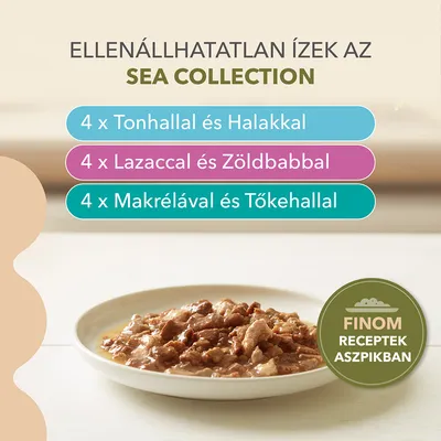 IAMS Advanced Nutrition Grain Free Sea Collection szószban - 24 x 85 g