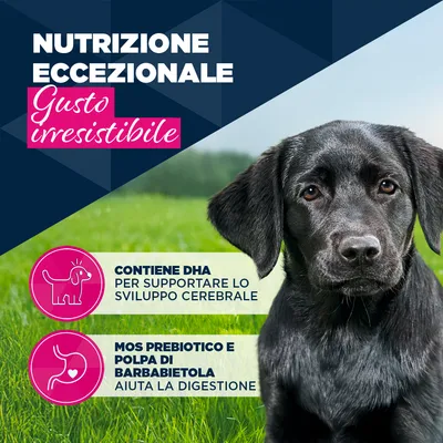 Eukanuba Puppy Ricco di Manzo con Zucca - 6 x 400 g
