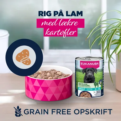 Eukanuba Adult Rig på lam og kartofler - 6 x 400 g