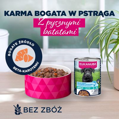 Eukanuba Adult, pstrąg z batatami