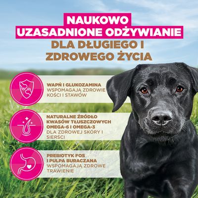 Eukanuba Grain Free Adult Large, kurczak - 12 kg