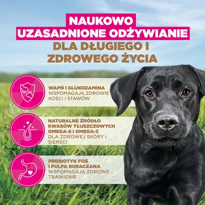 Eukanuba Grain Free Adult Large, kurczak - 12 kg