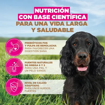 Eukanuba Grain Free Adult venado - 12 kg