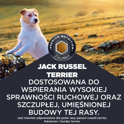 Jack Russell Terrier. Odpowiednio dostosowana w celu wspomagania wysokiej ruchliwości oraz szczupłej, umięśnionej sylwetki tej rasy. Odpowiednia także dla Parson Russell Terriera, foksteriera oraz border terriera.