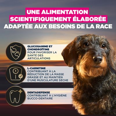 Glucosamine et chondroïtine pour la santé des articulations, L-Carnitine pour réduire la masse grasse, Dentadefense pour l’hygiène bucco-dentaire. Alimentation développée scientifiquement.