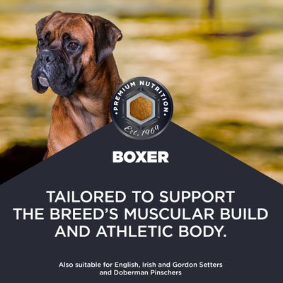 Premium Nutrition Boxer. Supports muscular and athletic body structure. Also suitable for English, Irish and Gordon Setters as well as Dobermann Pinschers.