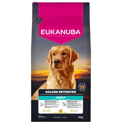 Eukanuba Golden Retriever Adult, runsaasti kanaa, 12 kg. Sopii myös flatcoated noutajille, portugalinvesikoirille ja italianspinoneille. Breed Care. Tukee pitkää, tervettä elämää. Eukanuba Golden Retriever Adult, runsaasti kanaa, 12 kg. Sopii myös flatcoated noutajille, portugalinvesikoirille ja italianspinoneille. Breed Care. Tukee pitkää, tervettä elämää.