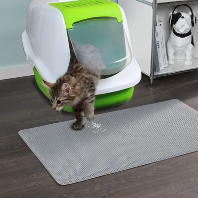 Котка излиза от закрита котешка тоалетна с бял и зелен цвят, стъпва върху сива постелка за почистване на лапи. Видими са следи от котешка тоалетна върху постелката.