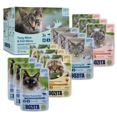 Bozita Chunks in Gravy Pouch 12 x 85 g liha- ja kalalajitelma (4 makua)