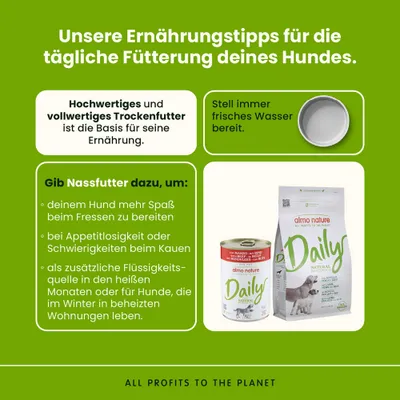 Almo Nature Daily Dog 6 x 400 g - Rind
