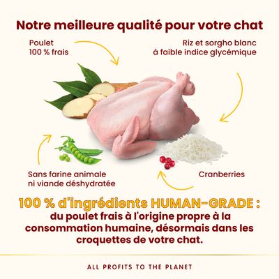 Almo Nature HFC Adult Sterilized Poulet pour chat