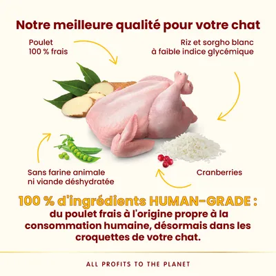 Almo Nature HFC Adult Sterilized Poulet  - lot économique : 2 x 1,2 kg