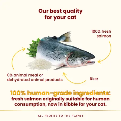 Almo Nature HFC Our Best Highly Appetizing, łosoś - 1,2 kg