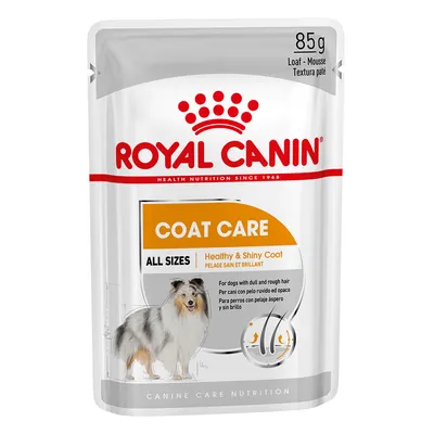 ROYAL CANIN Coat Care, 85 g, mokra karma dla psów wszystkich rozmiarów. Na opakowaniu pies, tekst: Healthy & Shiny Coat, Loaf – Mousse, Canine Care Nutrition.