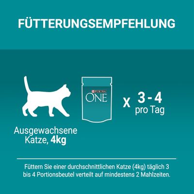 Etetési útmutató: felnőtt macska, 4 kg, PURINA ONE tasakból napi 3–4 adag. A szöveg német nyelvű.
