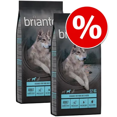 Two bags of Briantos Adult Salmon & Potato dry dog food, 12 kg each, with grain-free recipe and semi-moist kibble icons. Large red percentage discount symbol in top right.
