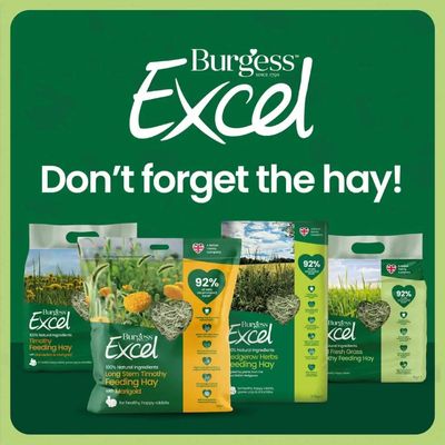 Burgess Excel Hay Selection with the inscription: 'Don't forget the hay!' and the statement '92% of a rabbit's diet should consist of hay'.