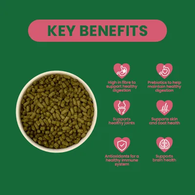 Bowl with dry food. Benefits: high fibre content, prebiotics for digestion, support for joints, skin and coat, antioxidants, brain health. Bowl with dry food. Benefits: high fibre content, prebiotics for digestion, support for joints, skin and coat, antioxidants, brain health.