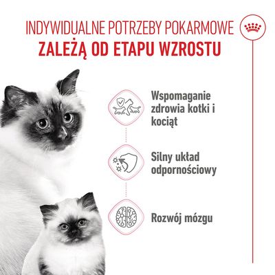 Grafika z kotem i kocięciem, tekst: Wspomaganie zdrowia kotów i kociąt, silny układ odpornościowy, rozwój mózgu.