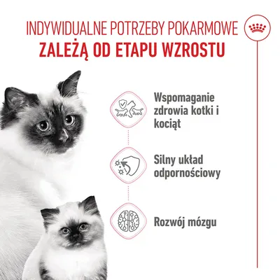 Grafika z kotem i kocięciem, tekst: Wspomaganie zdrowia kotów i kociąt, silny układ odpornościowy, rozwój mózgu.