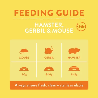 Feeding table for mice: 3–5 g, gerbils: 8–10 g, hamsters: 8–12 g per 24h. Note: Always provide fresh, clean water. Feeding table for mice: 3–5 g, gerbils: 8–10 g, hamsters: 8–12 g per 24h. Note: Always provide fresh, clean water.