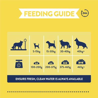 Feeding recommendation: 5-15kg 100-200g, 15-30kg 200-375g, 30-40kg 375-465g, 40kg+ 465g+. Always provide fresh water.