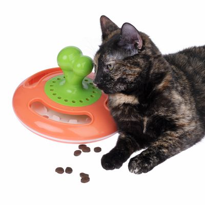 Hračka na podávanie krmiva s oranžovo-zeleným dizajnom, vedľa mačka a roztrúsené kúsky suchého krmiva.