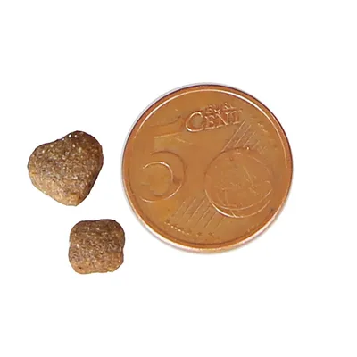 Vergleich der Grösse von zwei Trockenfutterstücken neben einer 5-Cent-Münze.