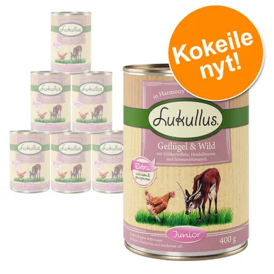 Lukullus Geflügel & Wild Junior 400 g säilykepurkkeja, etiketissä kana ja peura, oranssi merkki: Kokeile nyt! Teksti saksaksi: mit Süßkartoffeln, Heidelbeeren und Sonnenblumenöl