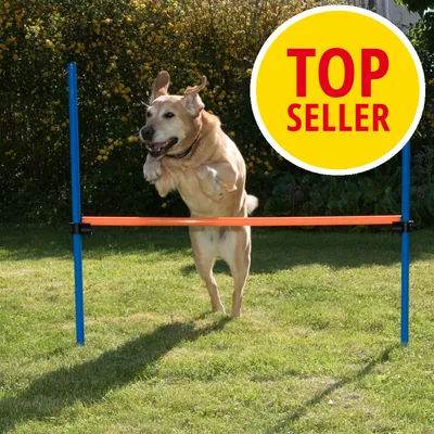 Hund hoppar över hinderställning utomhus. Stor gul cirkel med röd text: TOP SELLER. Hund hoppar över hinderställning utomhus. Stor gul cirkel med röd text: TOP SELLER.
