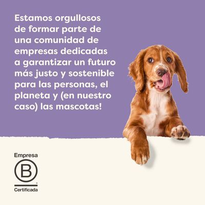 Texto: Nos enorgullece formar parte de una comunidad de empresas dedicadas a garantizar un futuro más justo y sostenible para las personas, el planeta y las mascotas. Empresa B Certificada.