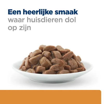 Een heerlijke smaak waar huisdieren dol op zijn. Bord met natvoerbrokjes in saus.