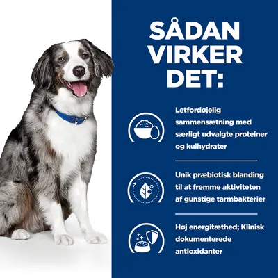 SÅDAN VIRKER DET: Letfordøjelig sammensætning med særligt udvalgte proteiner og kulhydrater. Unik præbiotisk blanding. Høj energitæthed; Klinisk dokumenterede antioxidanter.