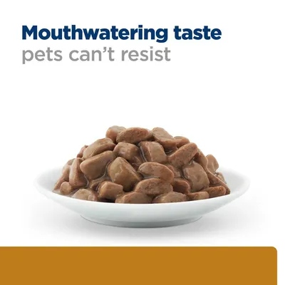 Tekst na engleskom: Mouthwatering taste pets can't resist. Prikaz zdjele s komadićima hrane u umaku.