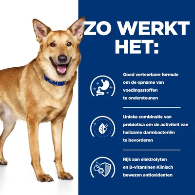 ZO WERKT HET: Goed verteerbare formule, unieke combinatie van prebiotica, rijk aan elektrolyten en B-vitaminen, klinisch bewezen antioxidanten. Hond links in beeld.