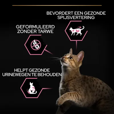 Bevordert een gezonde spijsvertering, geformuleerd zonder tarwe, helpt gezonde urinewegen te behouden. Afbeelding van kat met bijbehorende iconen en tekst.