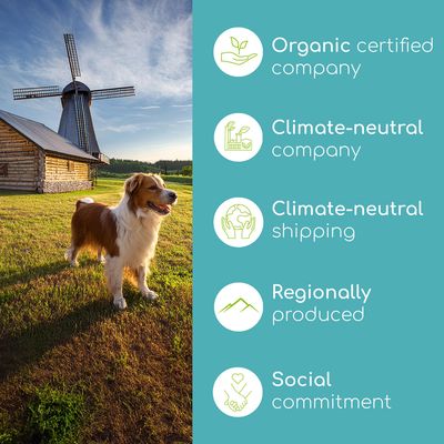 Wolfsbacher Natur Denta Vital Sticks