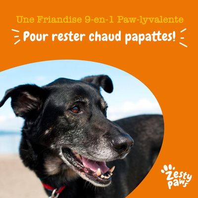 Une Friandise 9-en-1 Paw-lyvalente. Pour rester chaud papattes! Zesty Paws