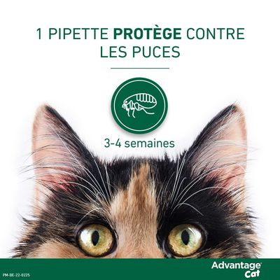 Advantage® 80 pour chat et lapin > 4 kg