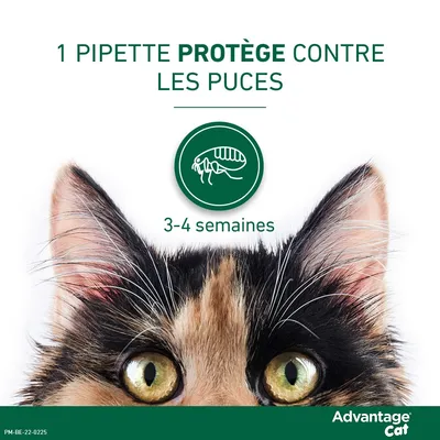 Advantage® 80 pour chat et lapin > 4 kg - 8 mois de protection (2 x 4 pipettes)