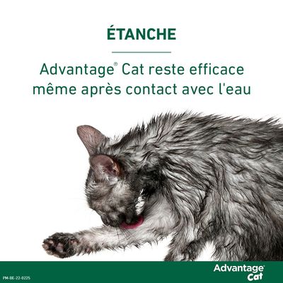 Advantage® 40 pour chat et lapin < 4 kg