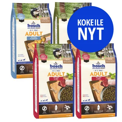 bosch High Premium Concept Adult -koiranruokapakkaukset: mit Fisch & Kartoffel, mit Lamm & Reis. Sininen ympyrä, jossa teksti 'KOKEILE NYT'. Pakkauksissa koira ja ruokakuvia.