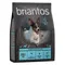 Briantos Grain Free Adult Mini Lax & potatis 1 kg